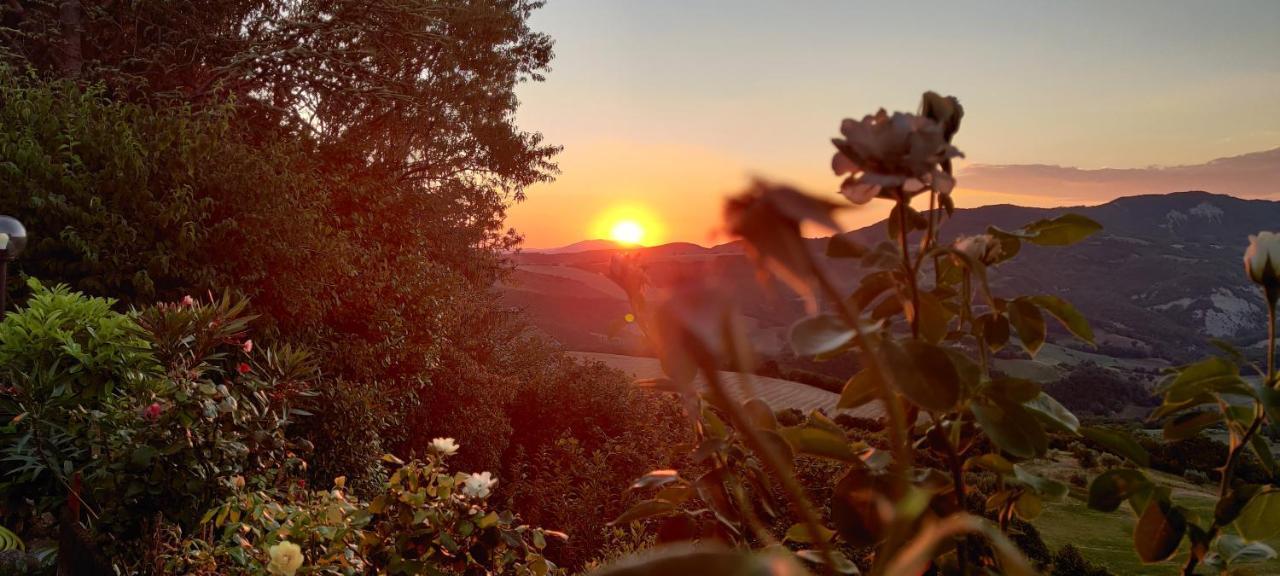 B&B La Terrazza Del Subasio Ασίζη Εξωτερικό φωτογραφία