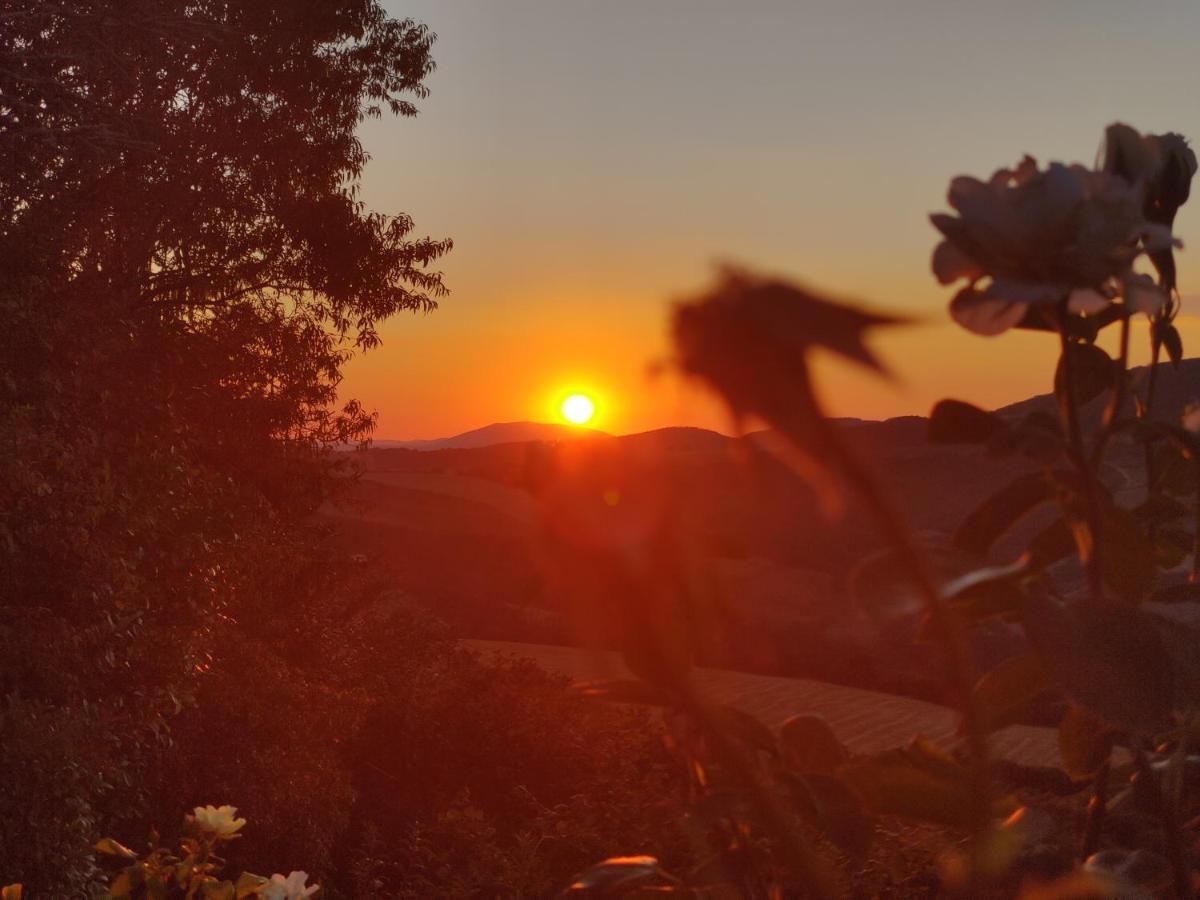 B&B La Terrazza Del Subasio Ασίζη Εξωτερικό φωτογραφία