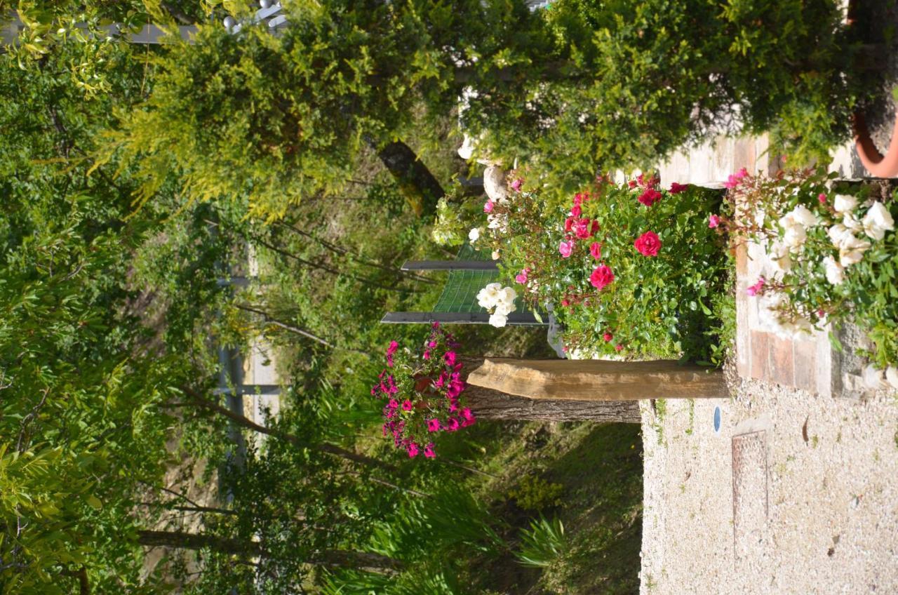 B&B La Terrazza Del Subasio Ασίζη Εξωτερικό φωτογραφία
