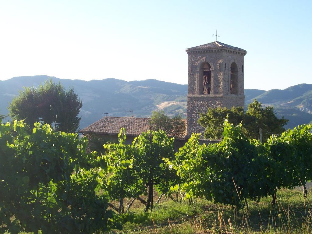 B&B La Terrazza Del Subasio Ασίζη Εξωτερικό φωτογραφία