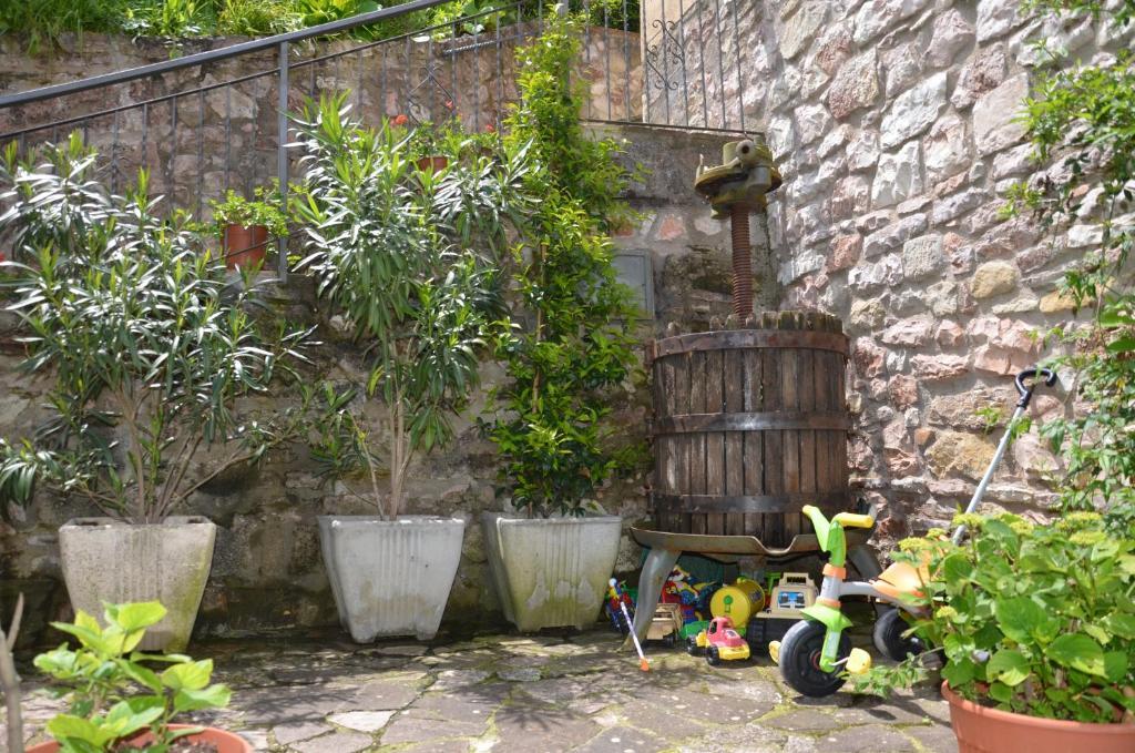 B&B La Terrazza Del Subasio Ασίζη Εξωτερικό φωτογραφία