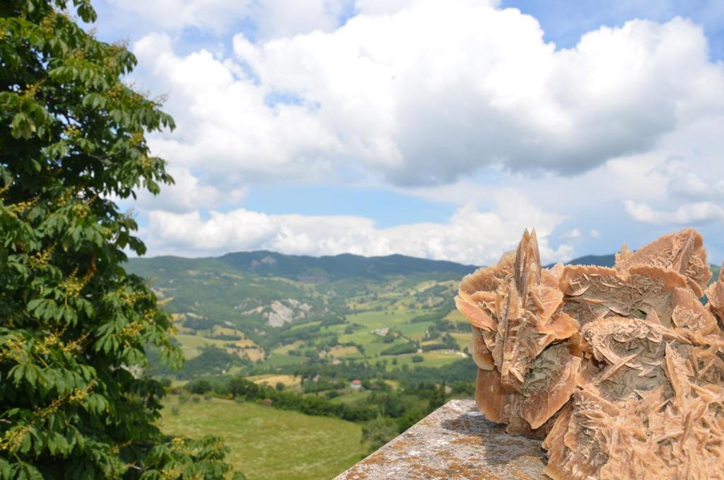 B&B La Terrazza Del Subasio Ασίζη Εξωτερικό φωτογραφία